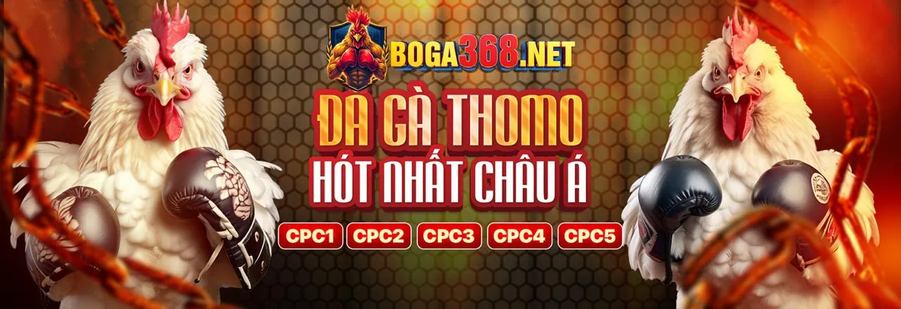 Đá gà trực tuyến SHBET5 kịch tính